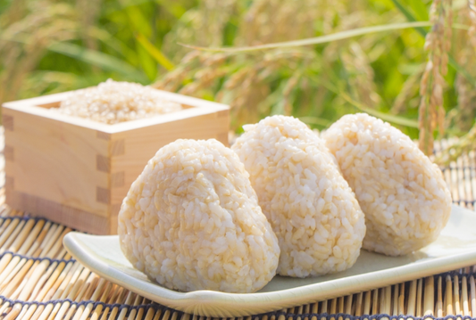 「玄米」の栄養素って？ビタミン・ミネラル・食物繊維が豊富な完全栄養食